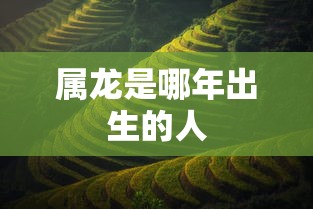 属龙是哪年出生的人  第1张