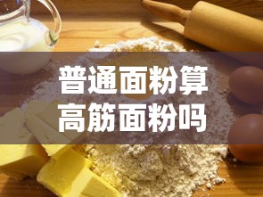 普通面粉算高筋面粉吗  第1张