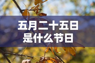五月二十五日是什么节日  第1张