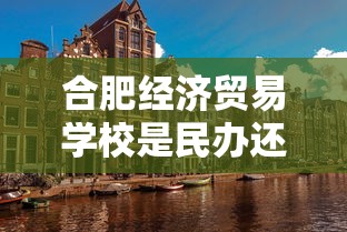 合肥经济贸易学校是民办还是公办  第1张