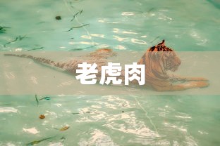 老虎肉  第1张