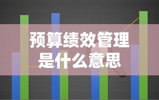 预算绩效管理是什么意思  第1张