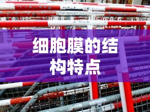 细胞膜的结构特点  第1张