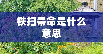 铁扫帚命是什么意思  第1张