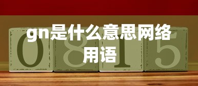 gn是什么意思网络用语  第1张