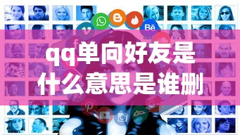 qq单向好友是什么意思是谁删了谁  第1张
