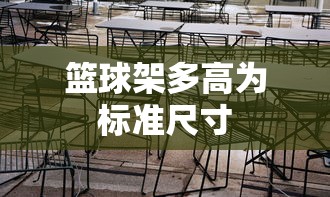 篮球架多高为标准尺寸  第1张