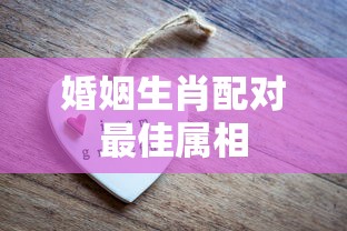 婚姻生肖配对最佳属相  第1张
