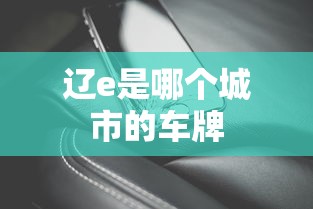 辽e是哪个城市的车牌  第1张