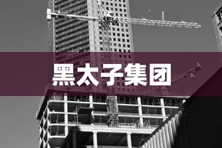 黑太子集团  第1张