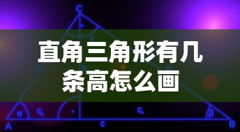 直角三角形有几条高怎么画  第1张