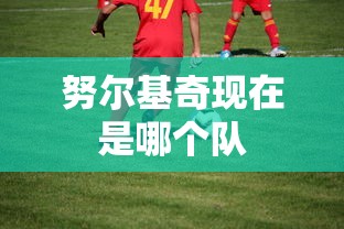 努尔基奇现在是哪个队  第1张