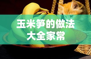 玉米笋的做法大全家常  第1张