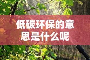 低碳环保的意思是什么呢  第1张