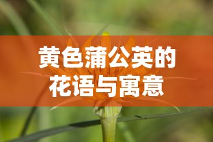 青海省教育厅副厅长董林简历  第1张