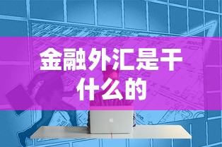 金融外汇是干什么的  第1张