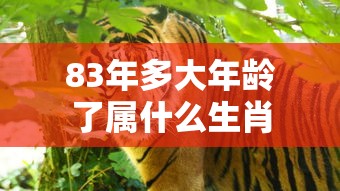 83年多大年龄了属什么生肖  第1张