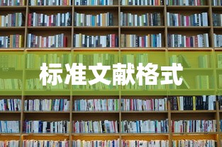 标准文献格式  第1张