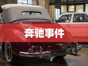 奔驰事件  第1张