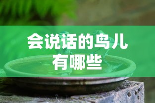 会说话的鸟儿有哪些  第1张