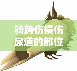 骑跨伤损伤尿道的部位  第1张