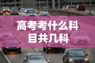 高考考什么科目共几科  第1张