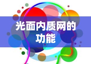 光面内质网的功能  第1张