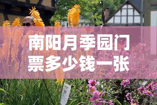 爱情悠悠药草香电视剧全集在线观看  第1张