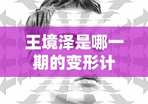 王境泽是哪一期的变形计  第1张