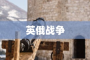 英俄战争  第1张