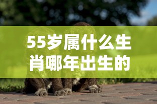 55岁属什么生肖哪年出生的  第1张