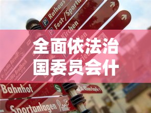 全面依法治国委员会什么时候成立  第1张