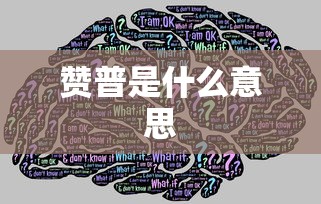 赞普是什么意思  第1张