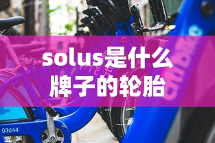 solus是什么牌子的轮胎  第1张
