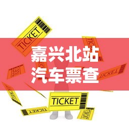 嘉兴北站汽车票查询  第1张