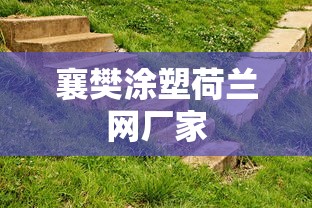 襄樊涂塑荷兰网厂家  第1张
