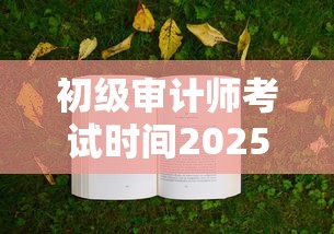 初级审计师考试时间2025  第1张