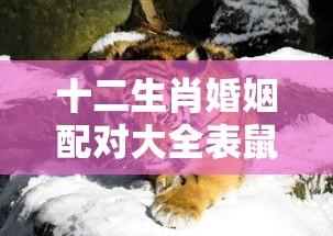 十二生肖婚姻配对大全表鼠和鸡  第1张