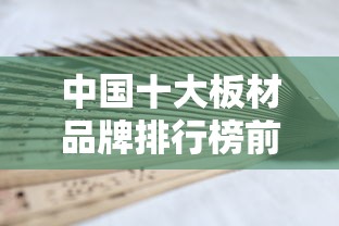 中国十大板材品牌排行榜前十名  第1张