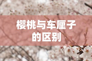 樱桃与车厘子的区别  第1张