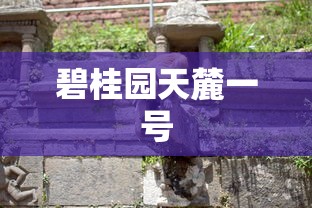 碧桂园天麓一号  第1张