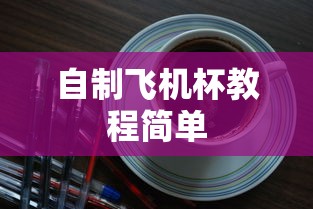 自制飞机杯教程简单  第1张