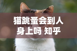 猫跳蚤会到人身上吗 知乎  第1张