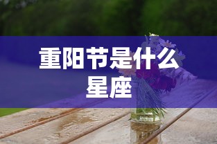 重阳节是什么星座  第1张