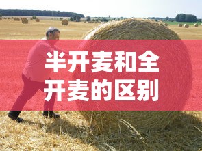 半开麦和全开麦的区别  第1张