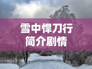 雪中悍刀行简介剧情  第1张