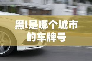 黑l是哪个城市的车牌号  第1张