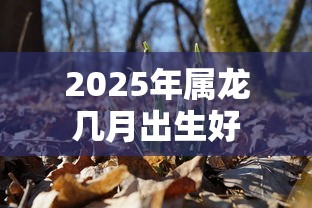 2025年属龙几月出生好  第1张