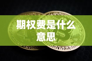 期权费是什么意思  第1张