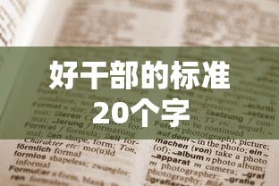 好干部的标准20个字  第1张